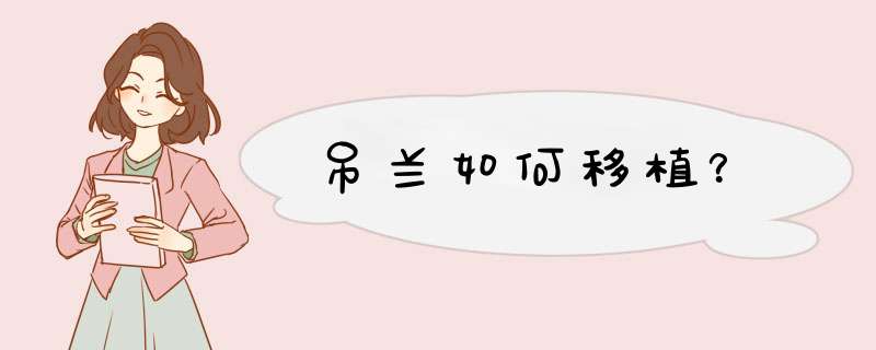吊兰如何移植？