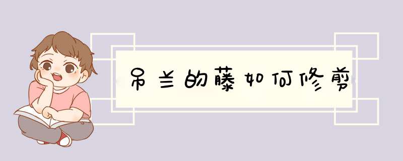 吊兰的藤如何修剪