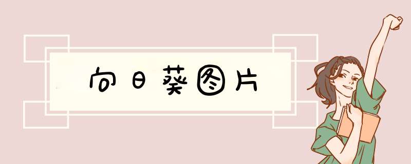 向日葵图片