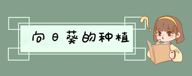向日葵的种植