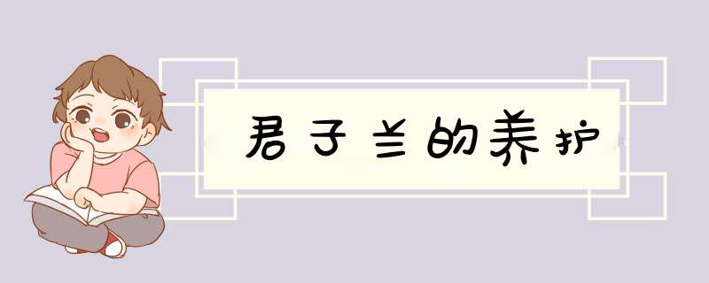 君子兰的养护