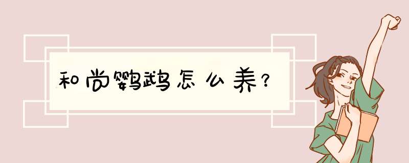 和尚鹦鹉怎么养？