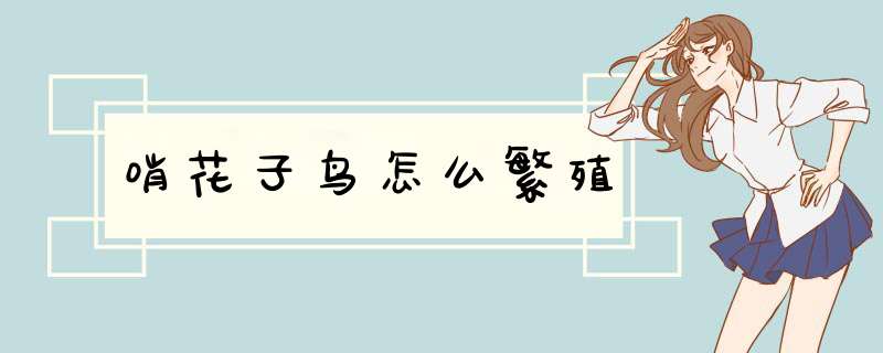哨花子鸟怎么繁殖