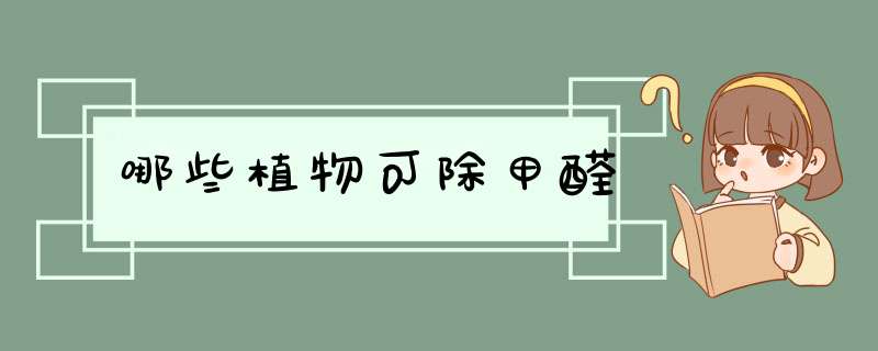 哪些植物可除甲醛
