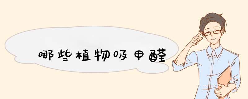 哪些植物吸甲醛