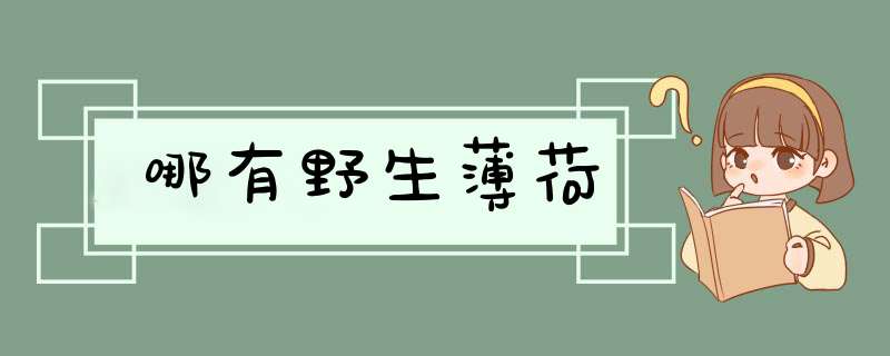 哪有野生薄荷
