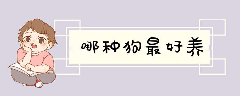 哪种狗最好养