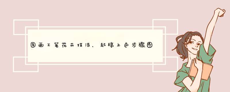 国画工笔花卉技法，起稿上色步骤图以及笔的选择