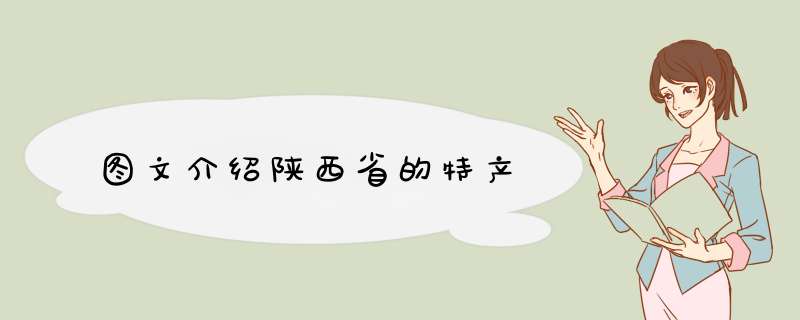 图文介绍陕西省的特产
