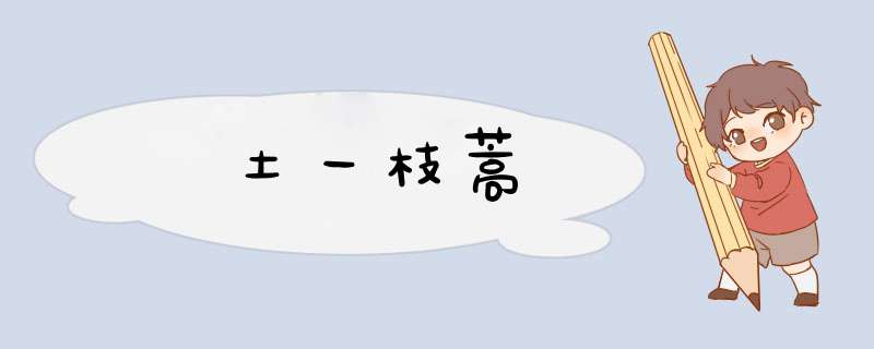 土一枝蒿