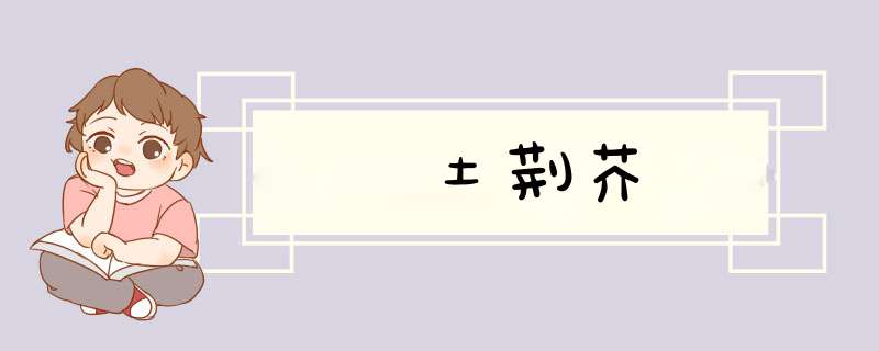 土荆芥