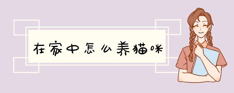 在家中怎么养猫咪