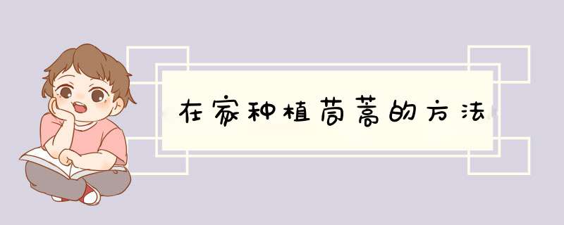 在家种植茼蒿的方法