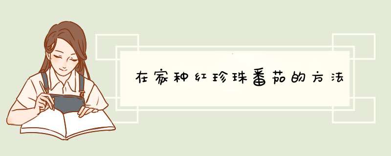 在家种红珍珠番茄的方法