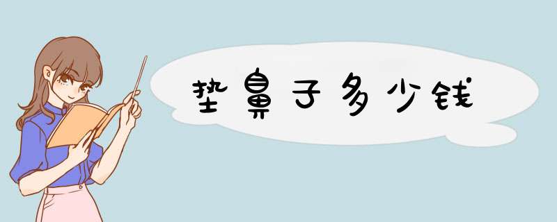 垫鼻子多少钱