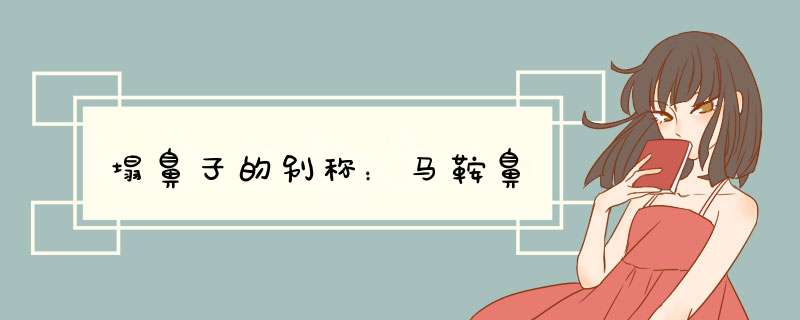塌鼻子的别称：马鞍鼻