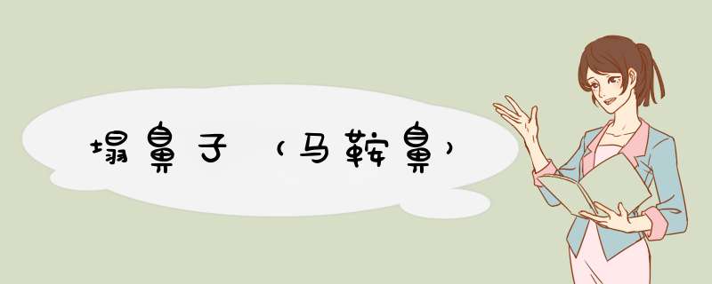 塌鼻子（马鞍鼻）