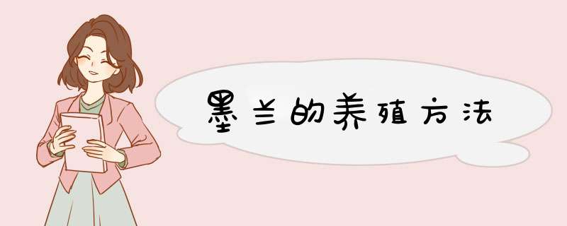 墨兰的养殖方法