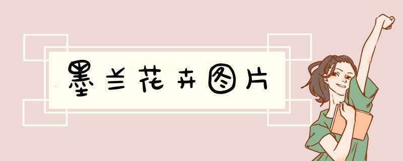 墨兰花卉图片