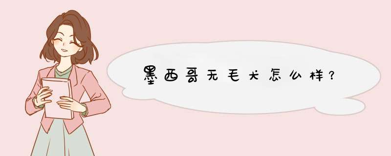 墨西哥无毛犬怎么样？