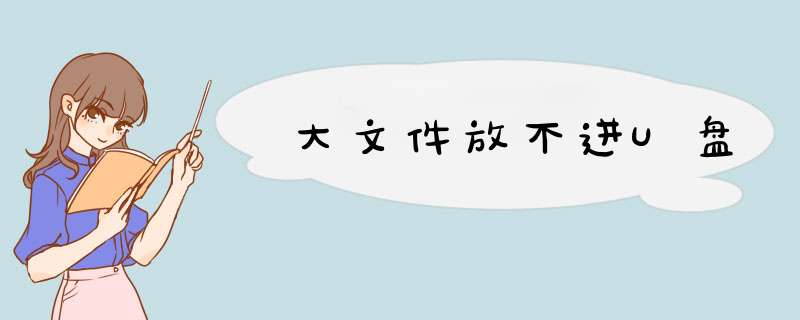 大文件放不进U盘
