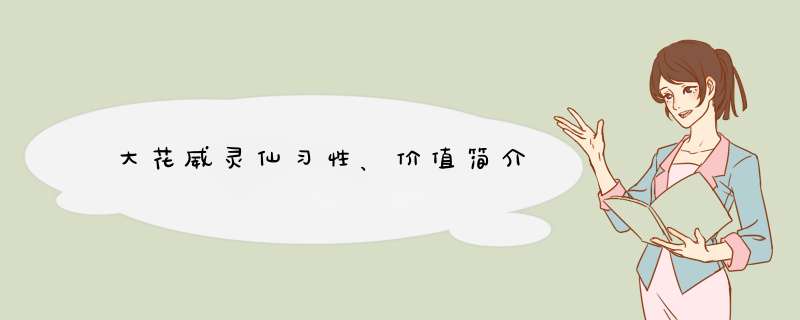 大花威灵仙习性、价值简介