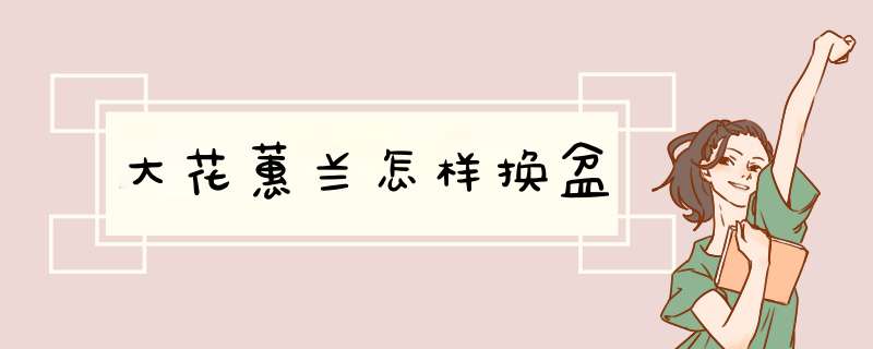 大花蕙兰怎样换盆
