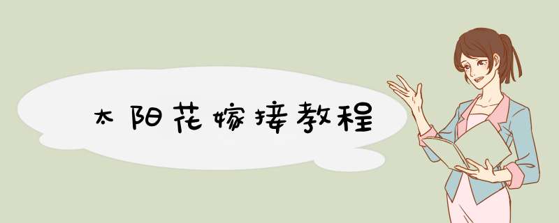 太阳花嫁接教程