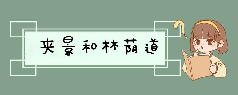 夹景和林荫道