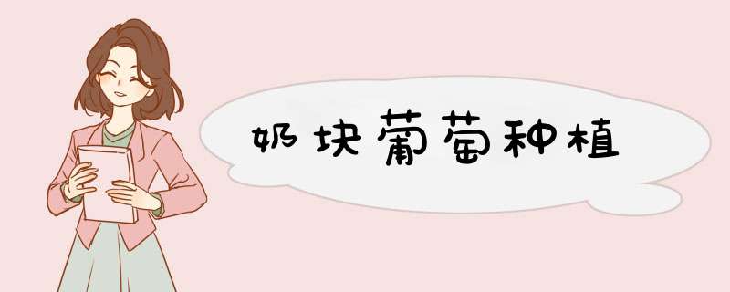 奶块葡萄种植