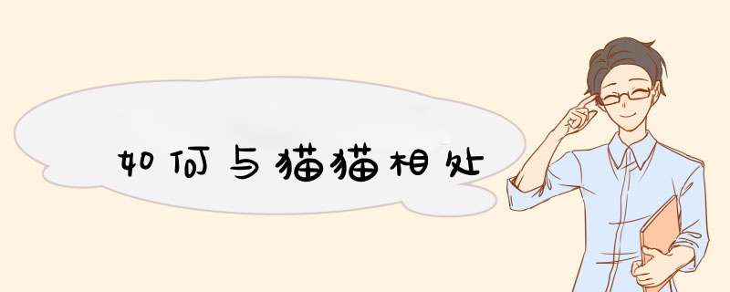 如何与猫猫相处