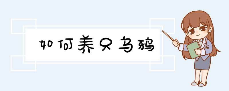 如何养只乌鸦