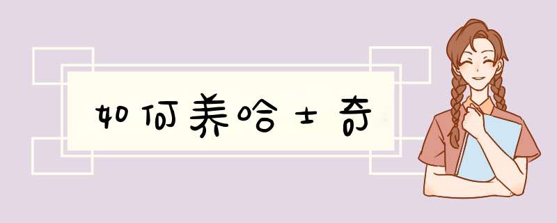 如何养哈士奇