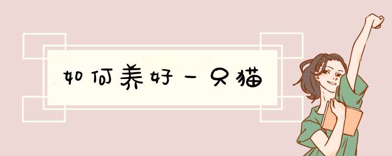 如何养好一只猫