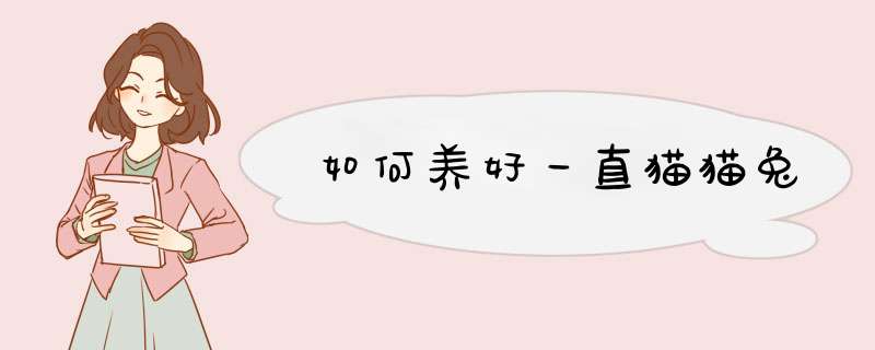 如何养好一直猫猫兔