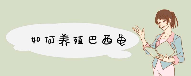 如何养殖巴西龟