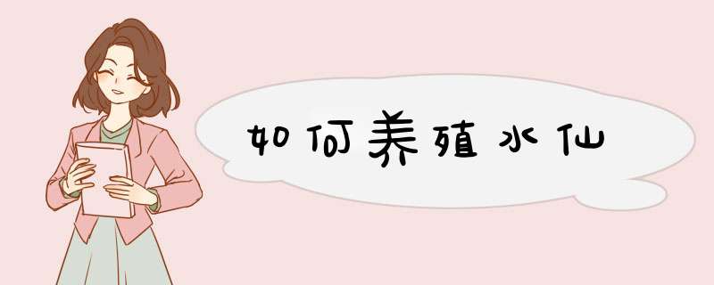 如何养殖水仙
