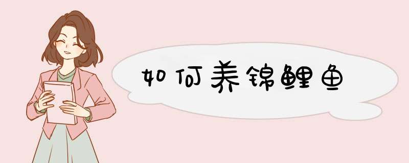 如何养锦鲤鱼