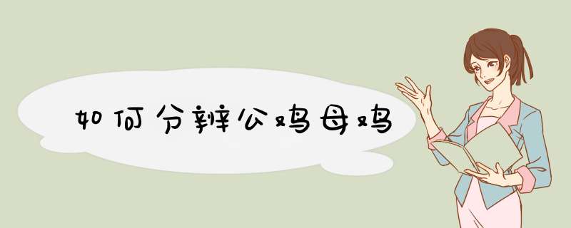 如何分辨公鸡母鸡