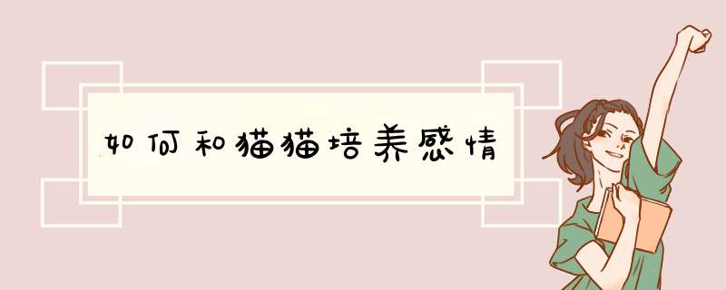 如何和猫猫培养感情
