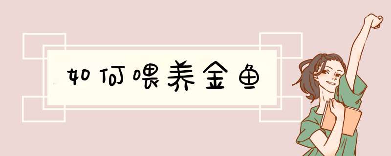 如何喂养金鱼