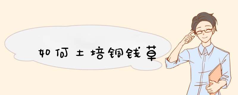 如何土培铜钱草