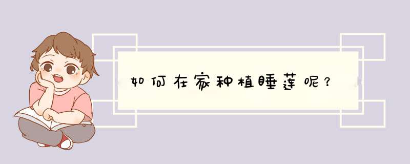 如何在家种植睡莲呢？