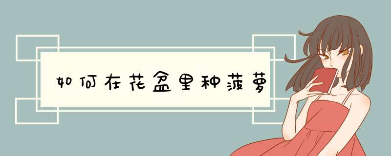 如何在花盆里种菠萝