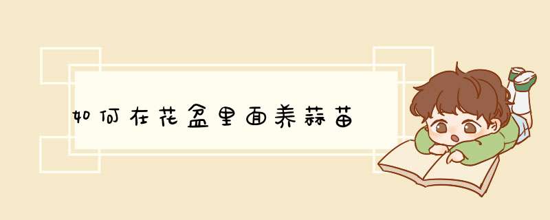 如何在花盆里面养蒜苗