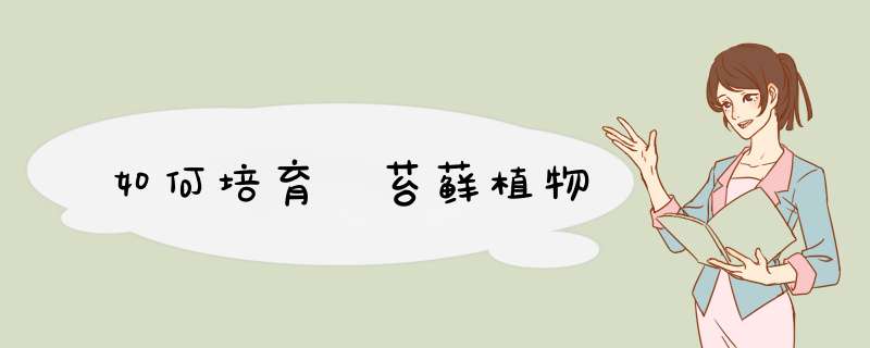 如何培育​苔藓植物