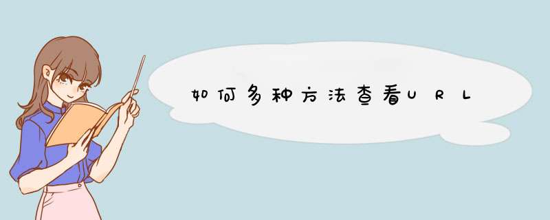 如何多种方法查看URL