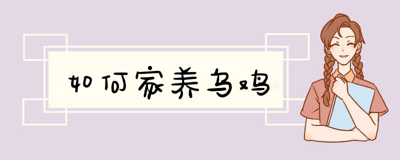 如何家养乌鸡