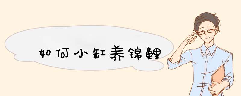 如何小缸养锦鲤