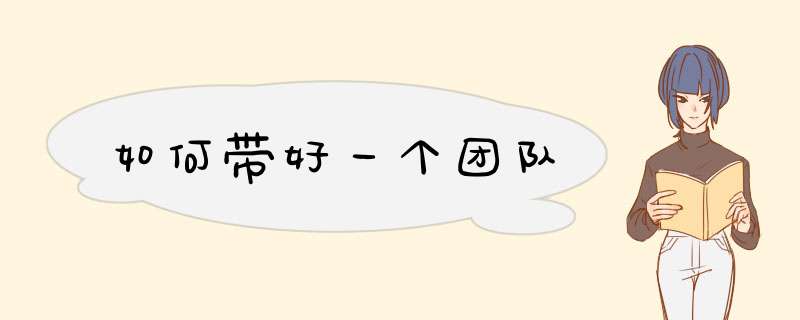 如何带好一个团队